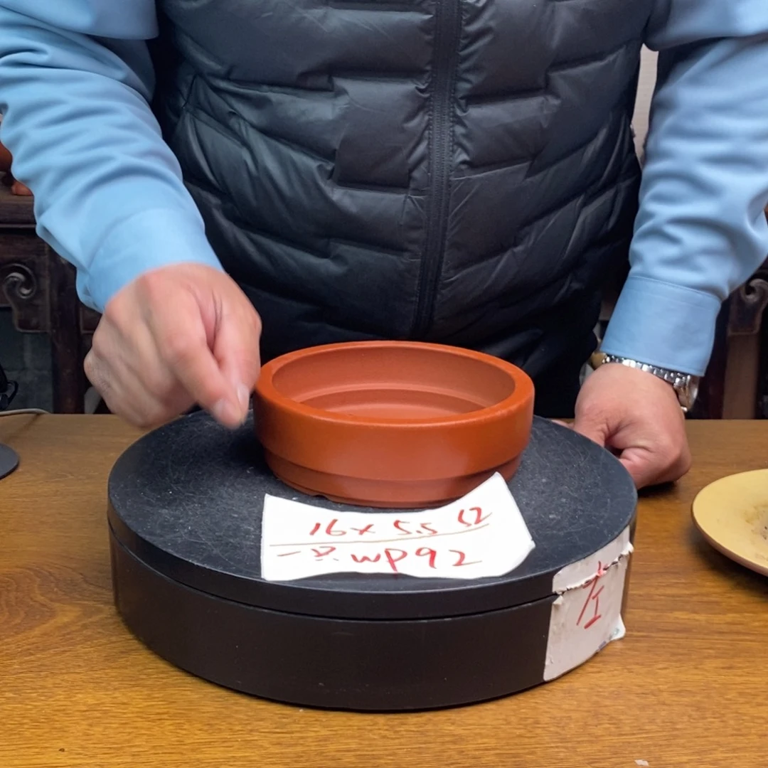 红陶货号一只WP92