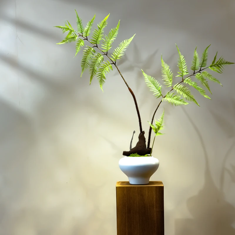 海虹景品红磷蕨仿真绿植假花高级古茶室装饰禅意玄关摆件小型盆景