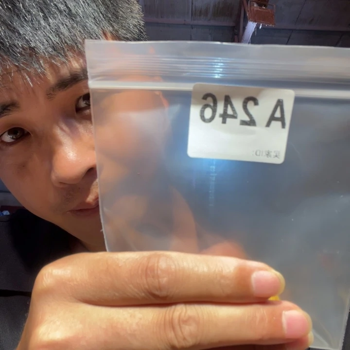 大叶紫檀（黑酸枝木类）246
