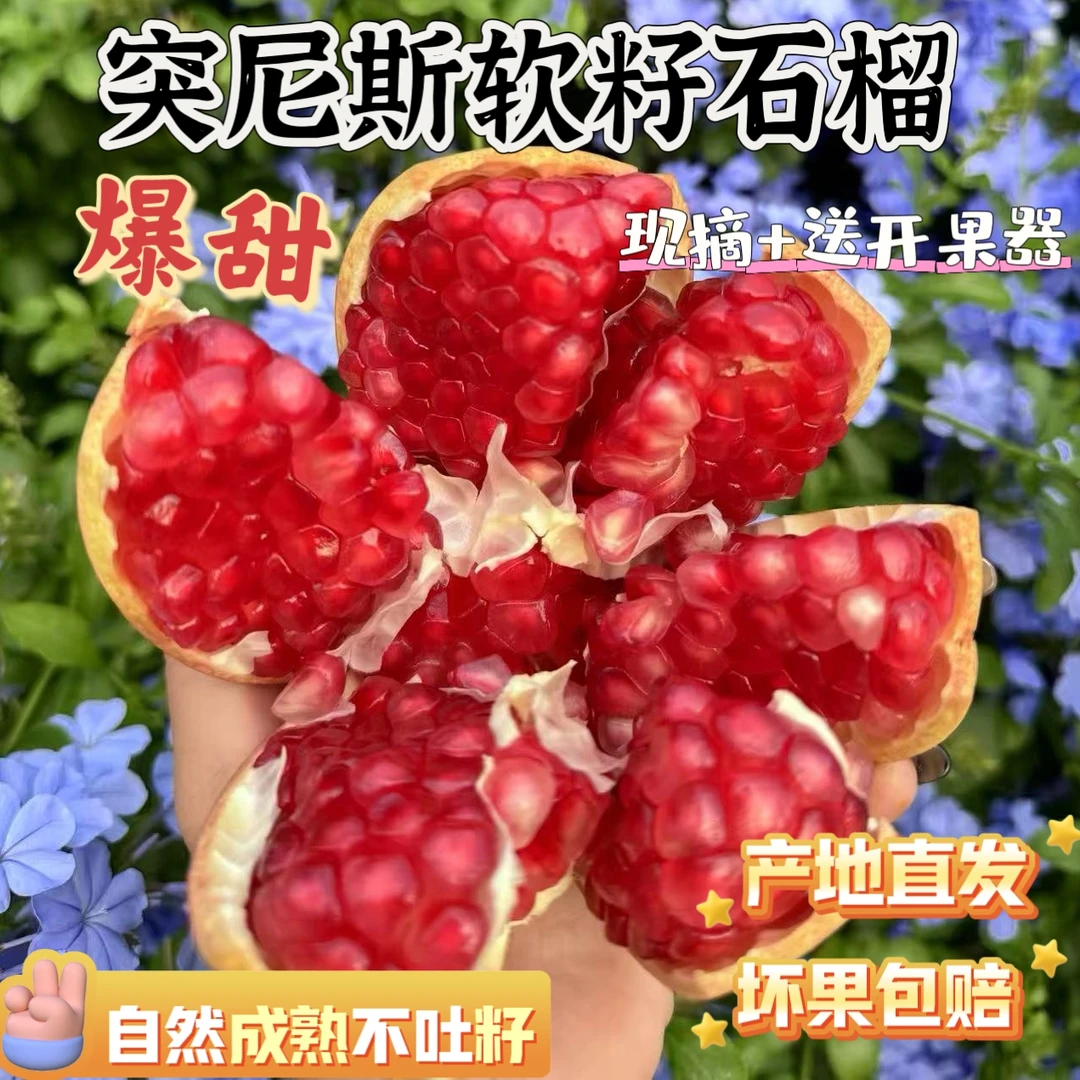 四川高山老树软籽石榴纯甜应季水果产地直发2