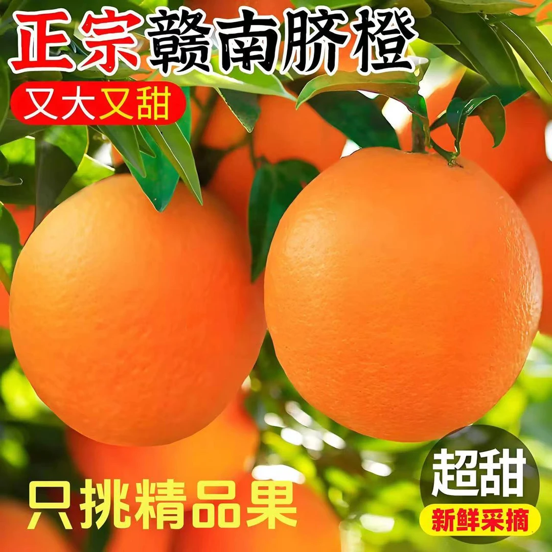 【正宗】江西赣南脐橙彩箱装赣州橙子当季香甜鲜橙新鲜水果5斤