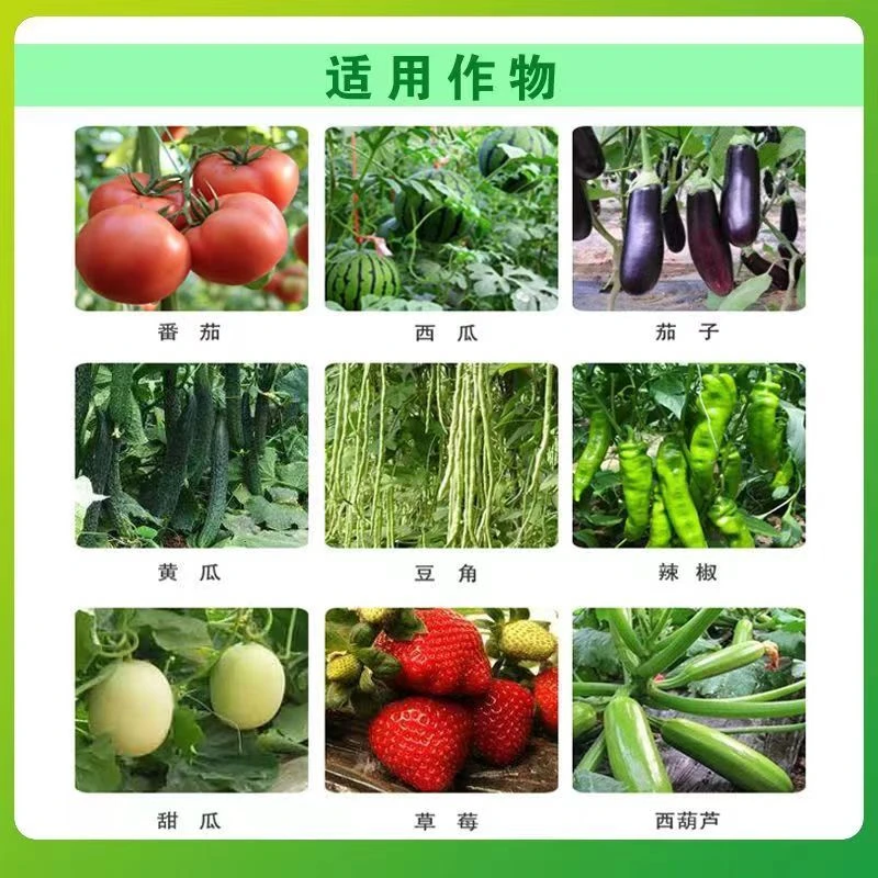 【偏远专链】正品瓜果蔬菜瓜果控旺不伤花果增产增收通用型新