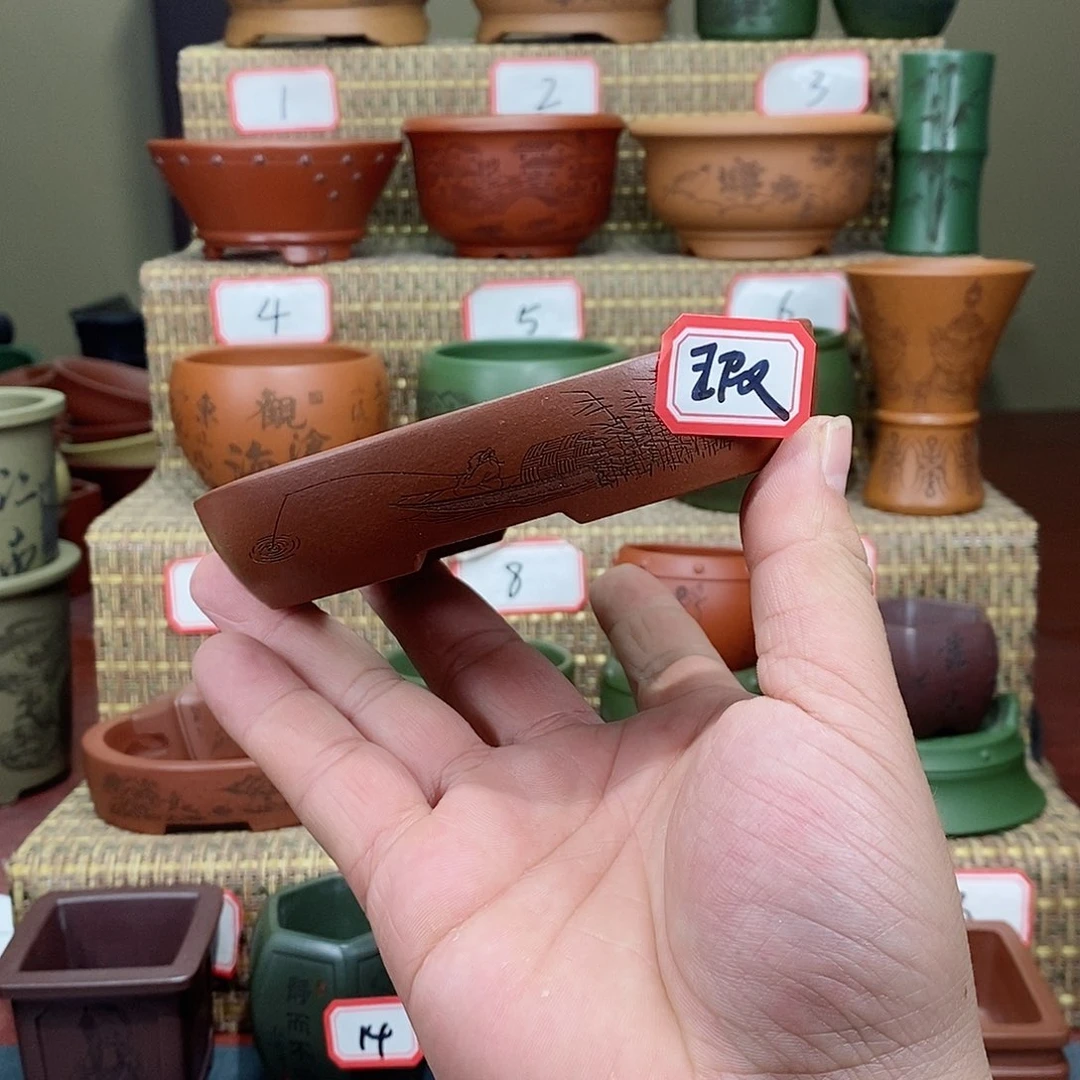 紫砂花盆我在等他