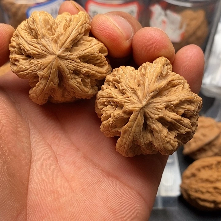 文玩核桃把件粗筋43