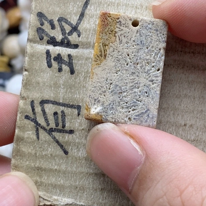 颈饰未镶嵌硅化珊瑚（珊瑚玉）心**程小