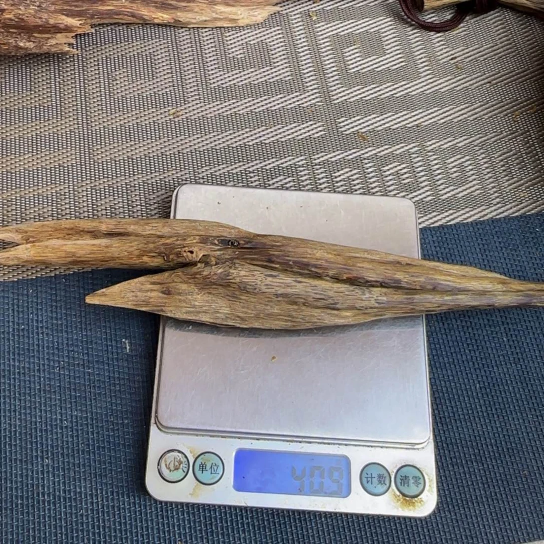 琳***爱香榧木奇楠天然虫漏陆河40克