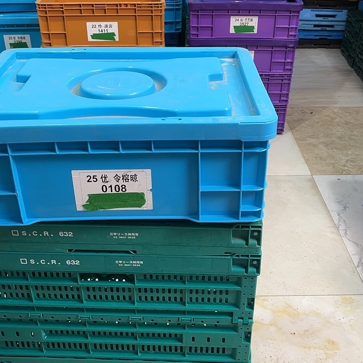 家***享厚款带盖子箱子一个