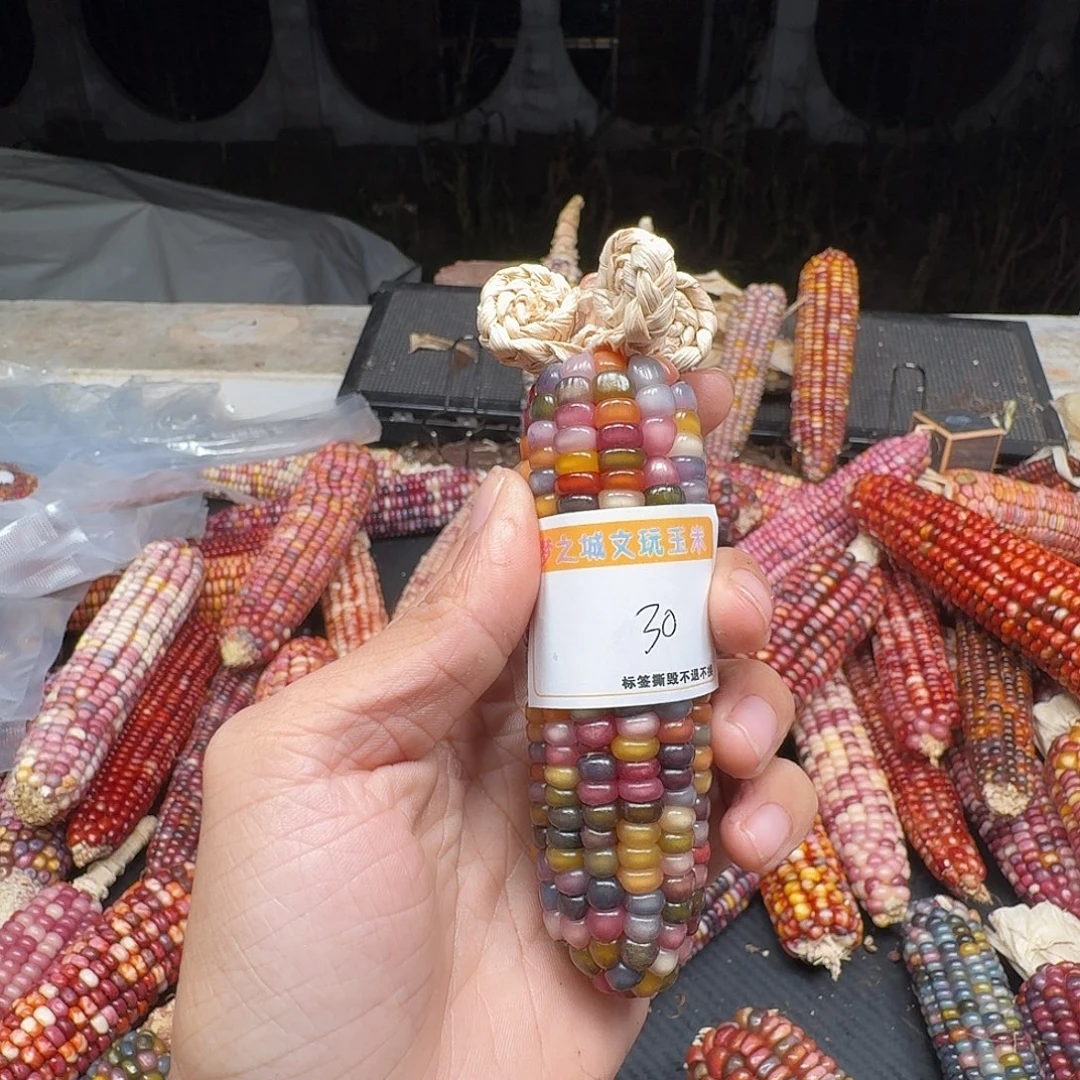 中***姐柏香籽/百香籽吊坠