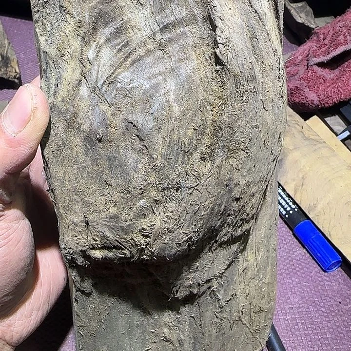 秋***枫直播间一物一拍截图