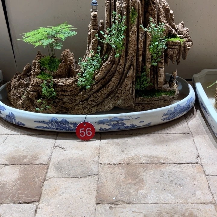 无花朵土***。上水石盆景