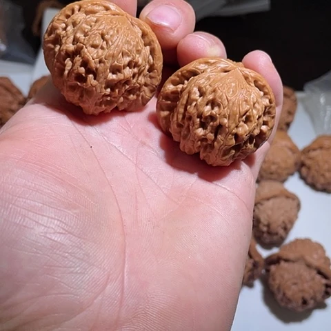 文玩核桃把件白狮子