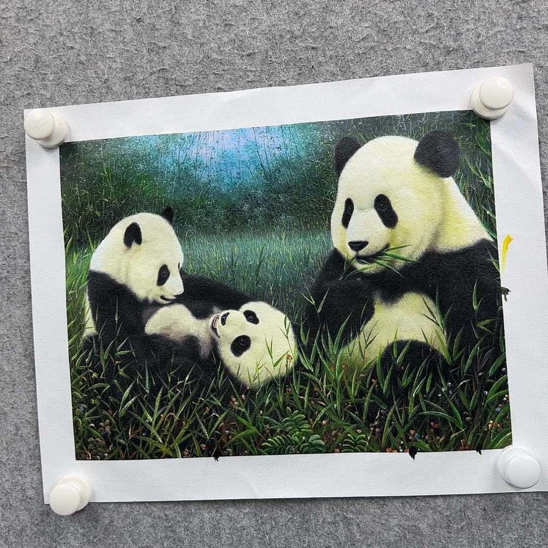书法书法作品多次参加