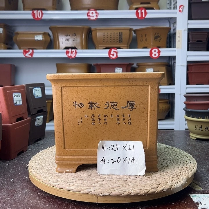 紫砂花盆蛇年大吉
