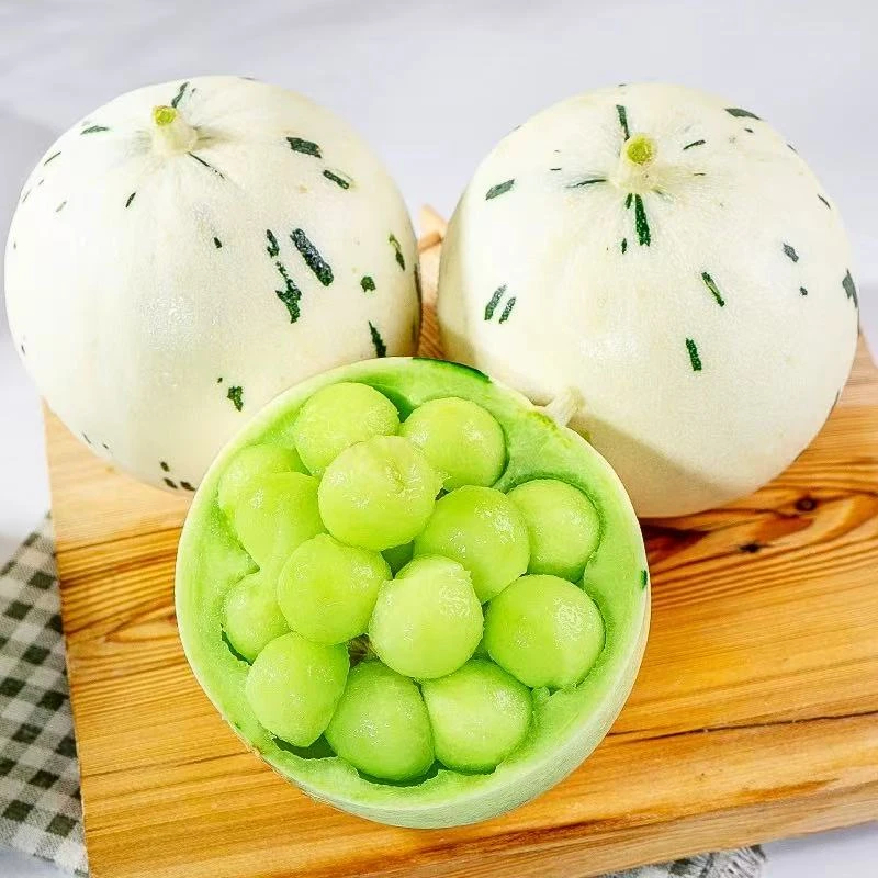 流星瓜甜瓜 香甜多汁甜瓜软糯 2颗4斤起 辽宁发货新鲜山东省