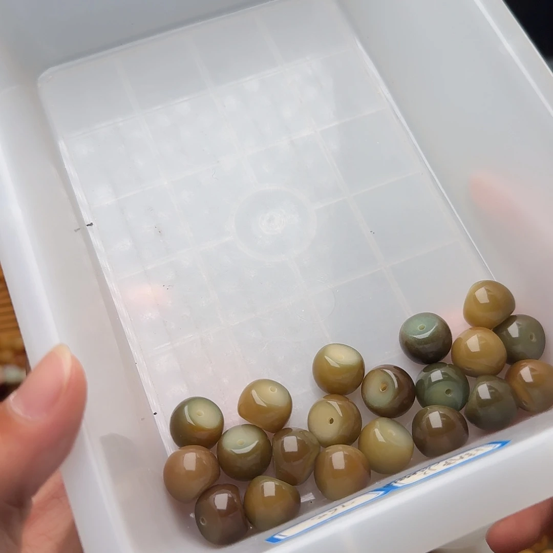 走***着吊坠菩提根/象牙果4号