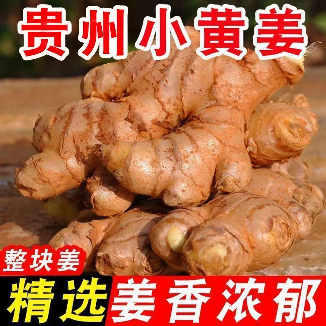 正宗贵州小黄姜现发2025新姜9斤/5斤/3斤整箱批发嫩姜母姜