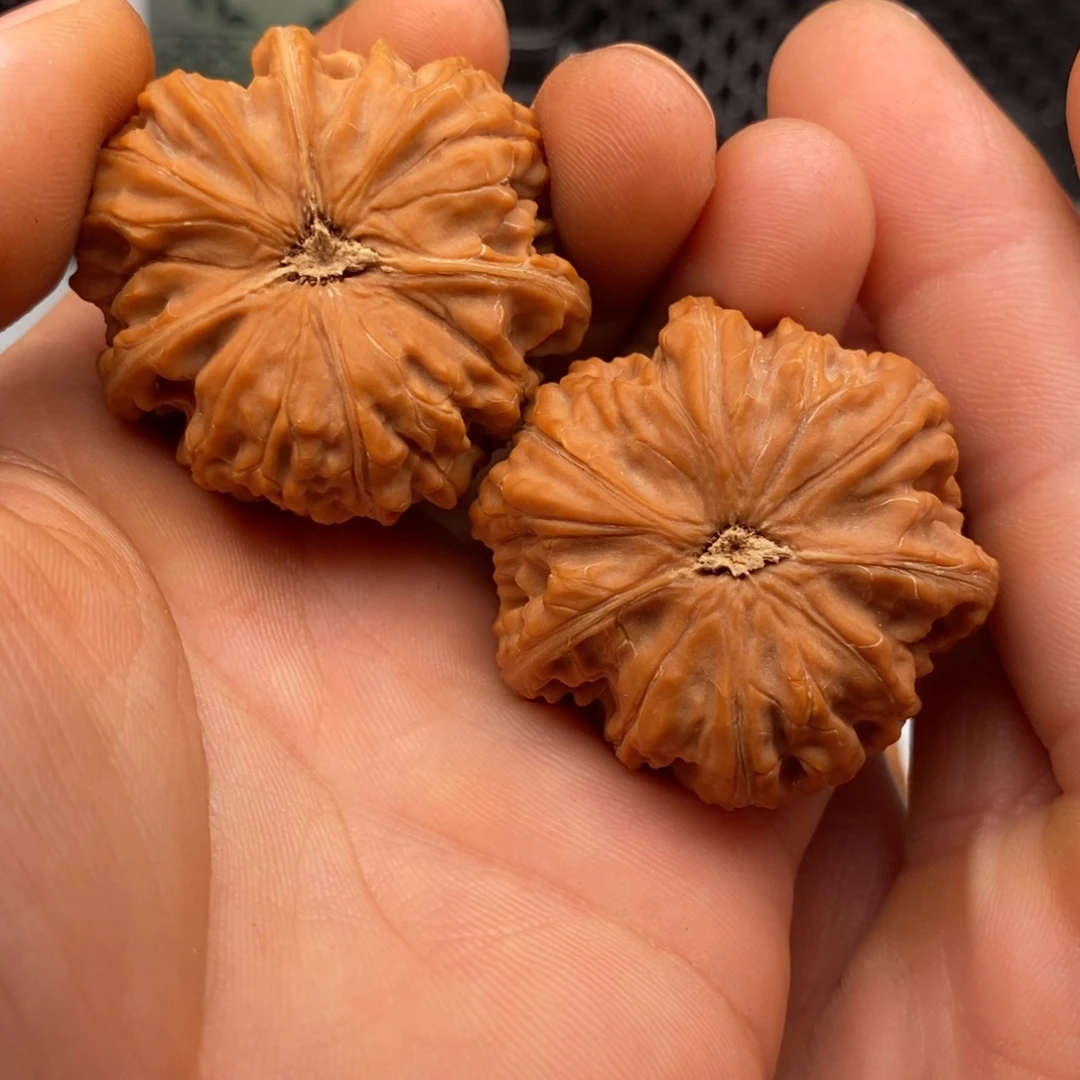 天***！把件文玩核桃41玉龙粗筋
