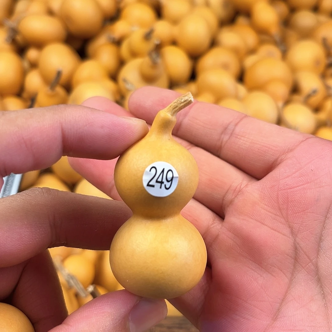 四葫芦葫芦葫芦葫芦249