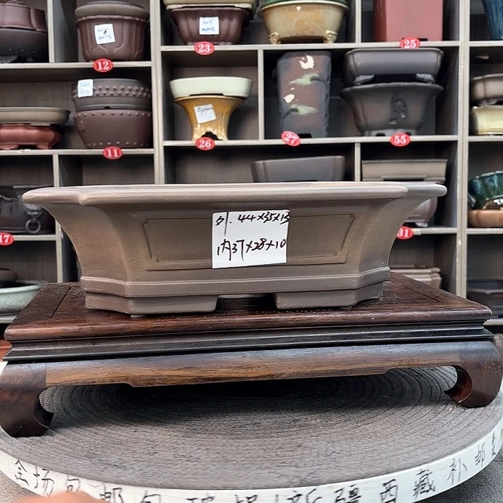 紫砂花盆紫砂的花也太美