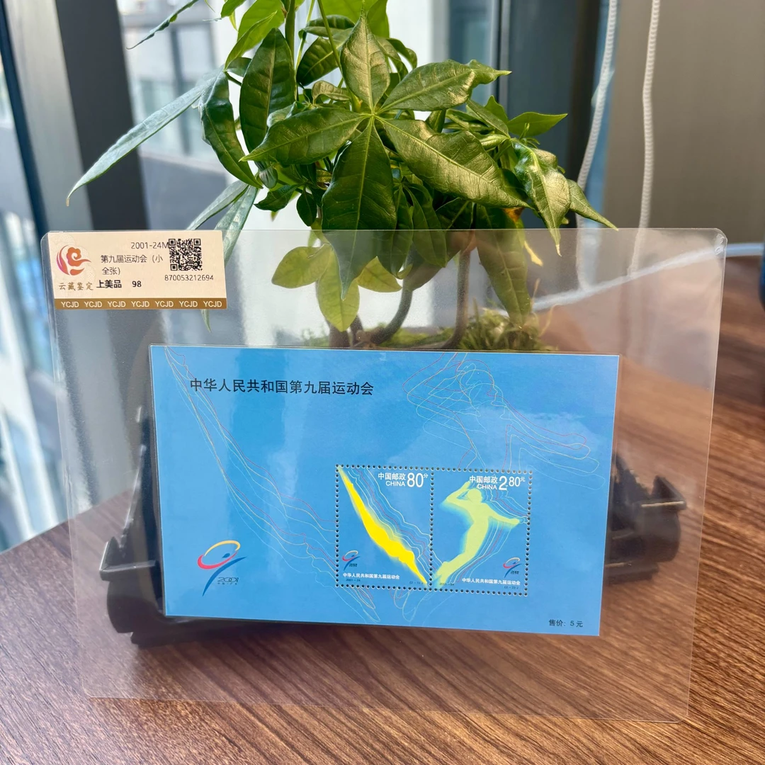 2001-24M 第九届运动会 小全张 邮票