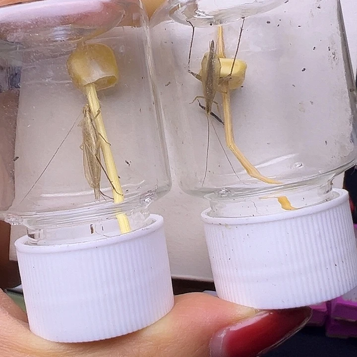 用***3哈哈哈哈哈哈哈哈哈哈哈哈