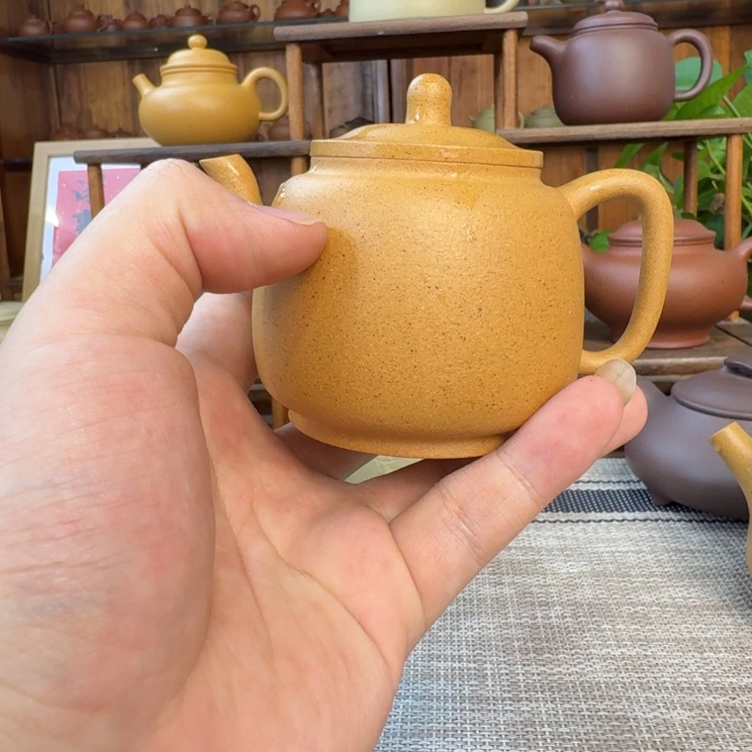 茶壶紫砂345554445544