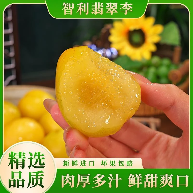 智利翡翠李新鲜进口高端水果恐龙蛋绿宝石李甜嫩多汁精选2斤起