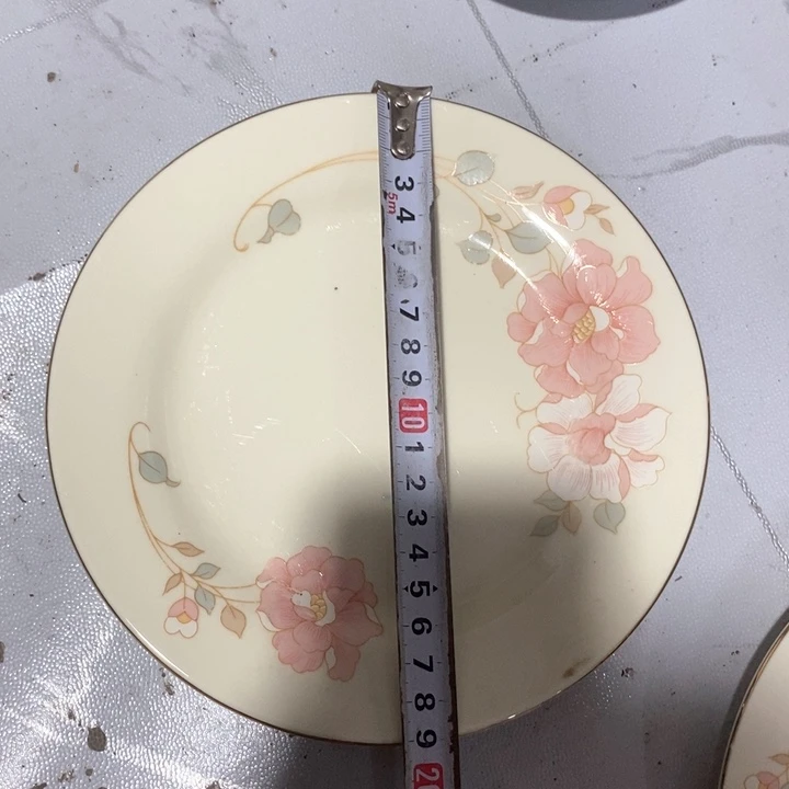 瓷片春蕾象牙瓷盘子
