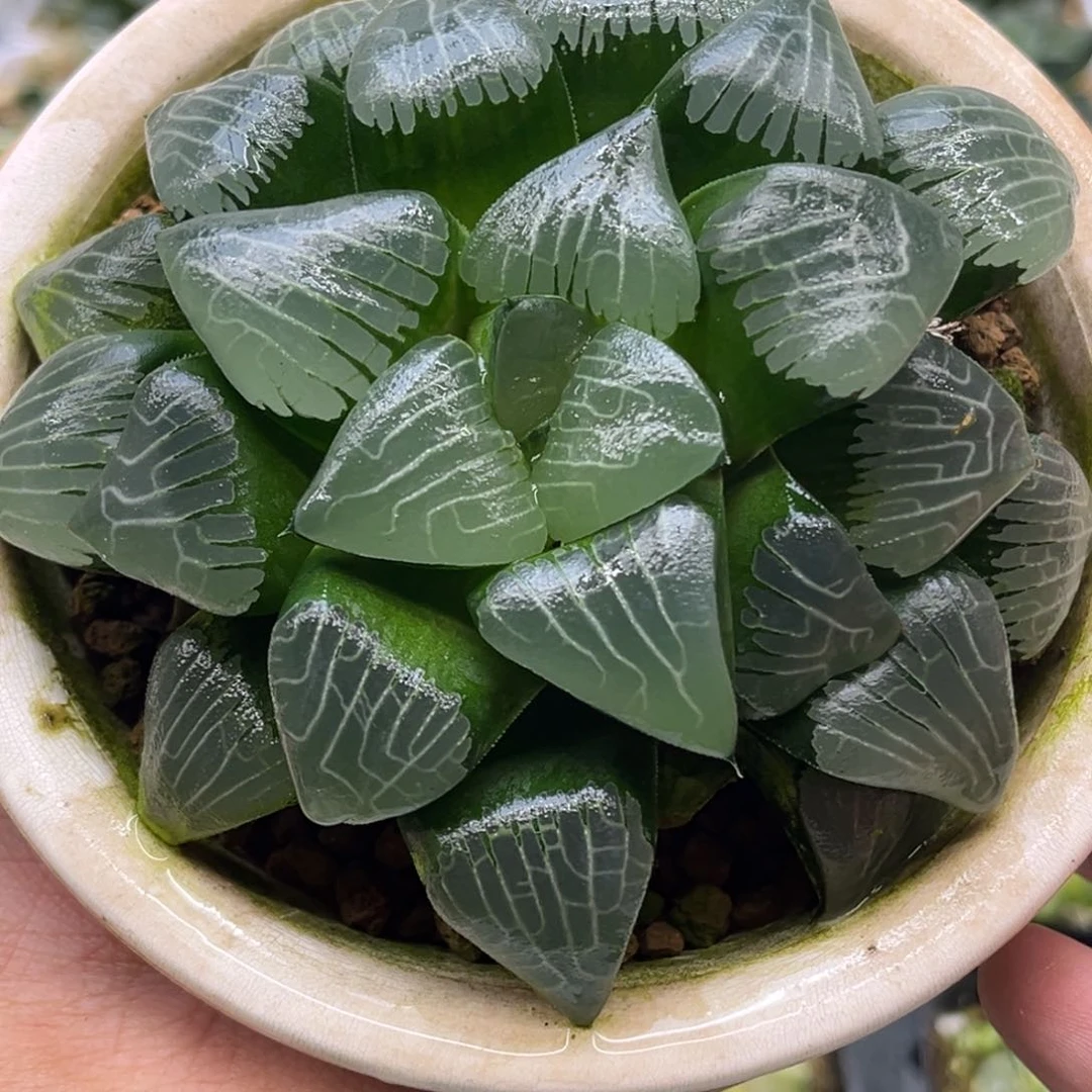 473实方克发发发发发发