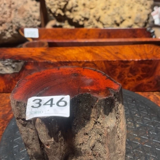 大果紫檀（缅甸花梨）