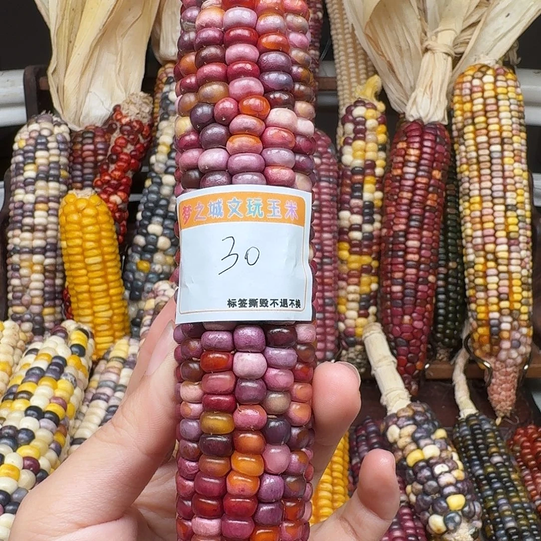 吴***笑吊坠柏香籽/百香籽