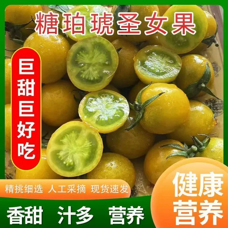 【芬姐专属】山东糖珀琥小番茄2斤/3斤一口爆汁 酸甜爽脆
