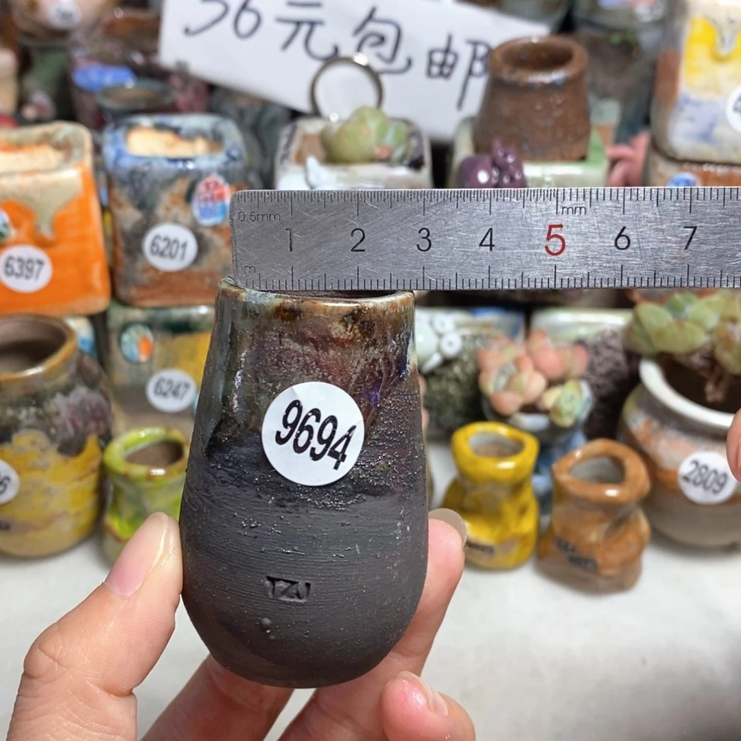 拍5送一个小礼物