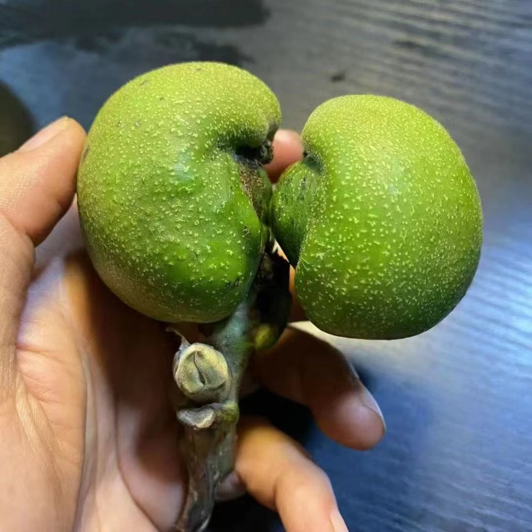 文玩核桃三棱四棱青皮