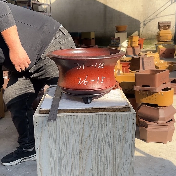 花盆紫砂这是什么