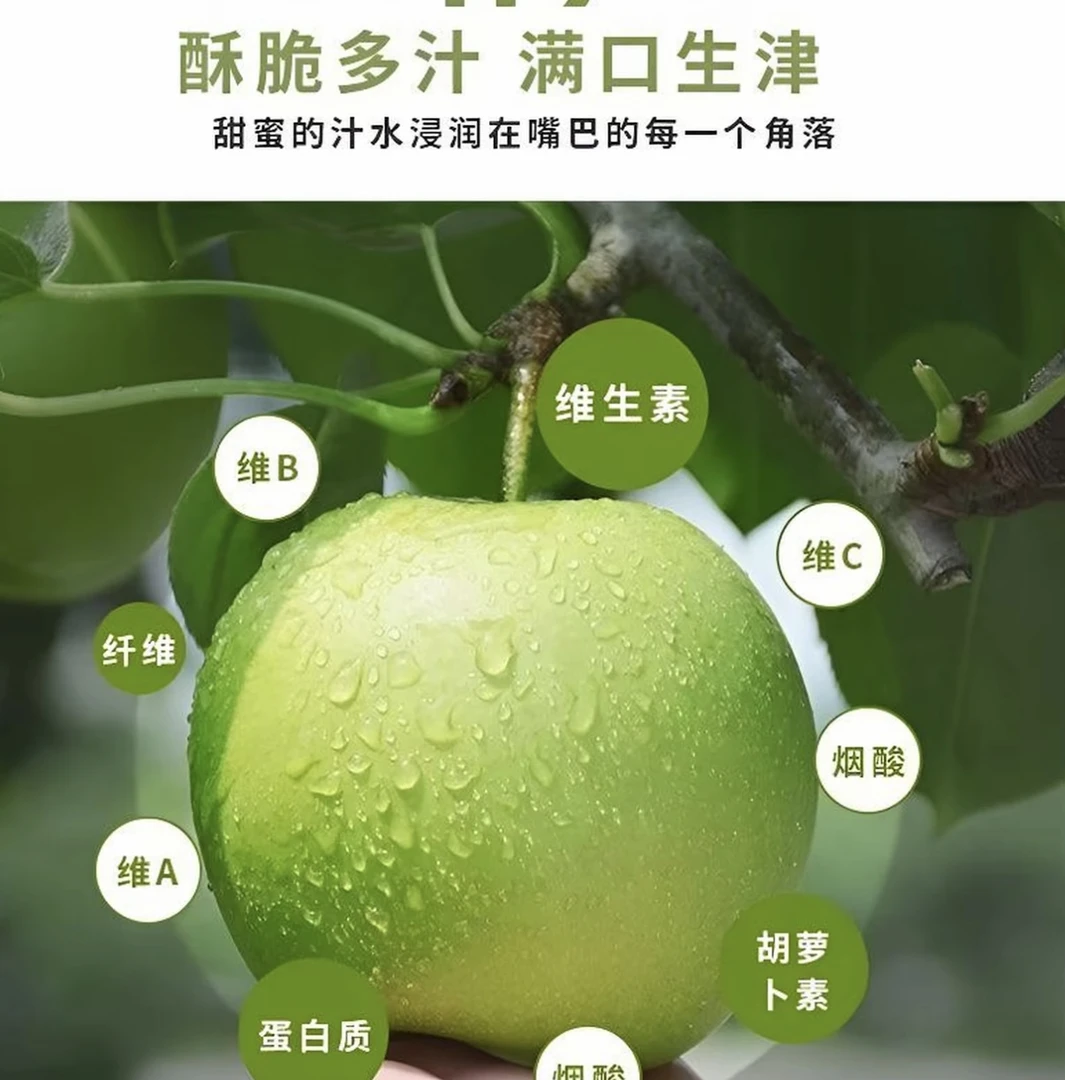 【顺丰包邮】正宗砀山青皮梨（皇冠）水润多汁清脆可口现摘现发