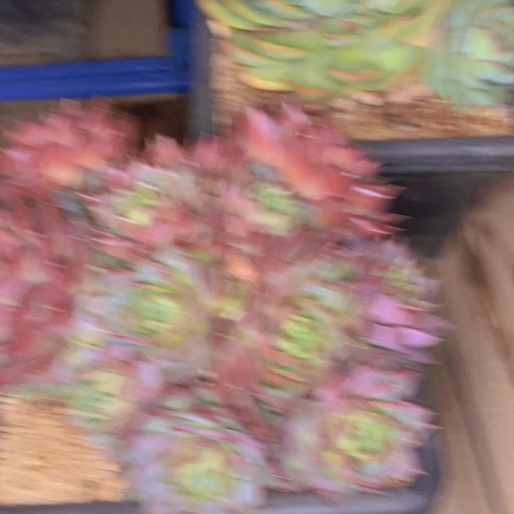 水***蓝14-20////////////////