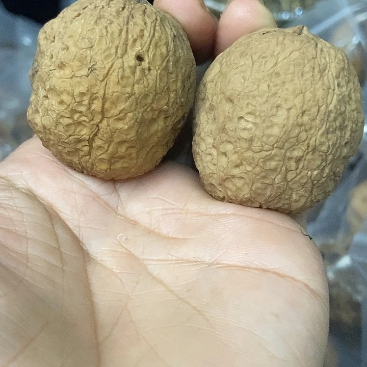 文玩核桃把件云南铁核桃基地93