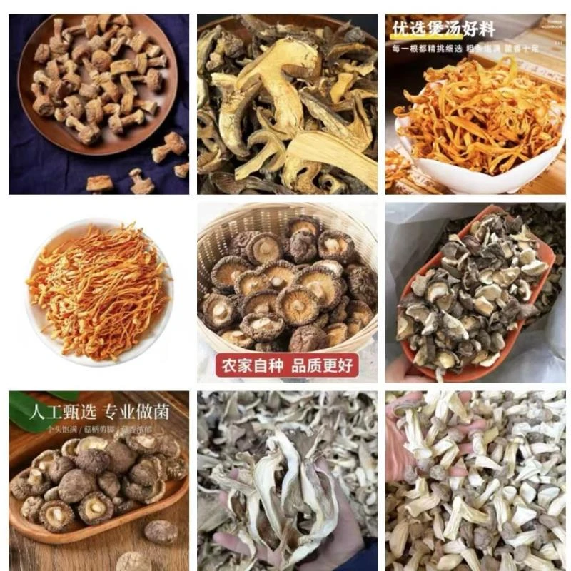 C017 备用链接 高端品质 山货土特产 香菇