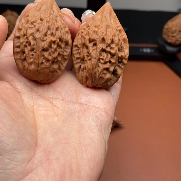 雪***巅秦核等人的故事也在