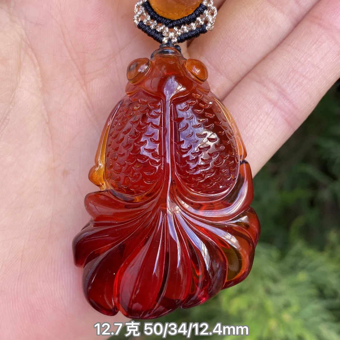 【小伊琥珀】12.7克血珀金鱼「金玉满堂」