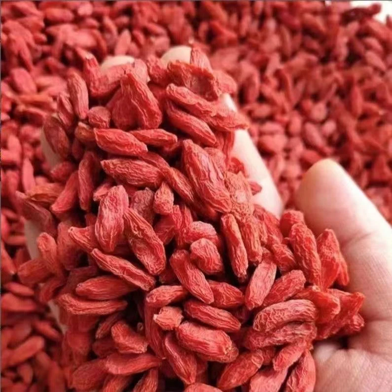 【2025年新枸杞】甘肃靖远原生态不染色不熏硫枸杞