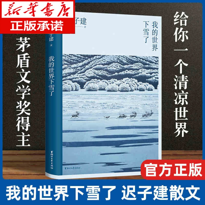 我的世界下雪了，迟子建散文作品，以文字抚平创痛，以真情触碰人间