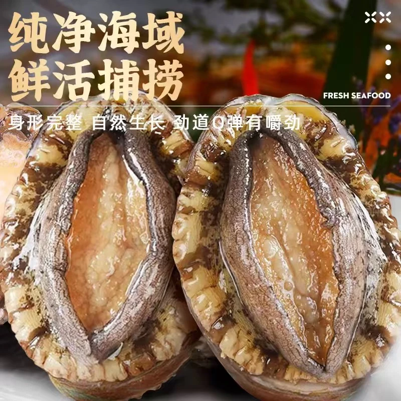 速冻活鲍鱼一斤装，8分熟工艺，绝对鲜嫩，二次加热不缩水
