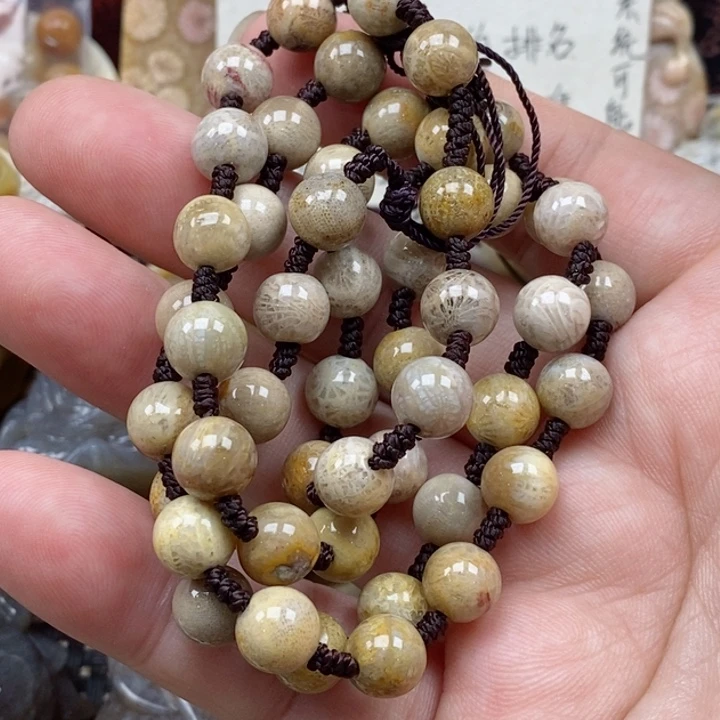 颈饰未镶嵌硅化珊瑚（珊瑚玉）