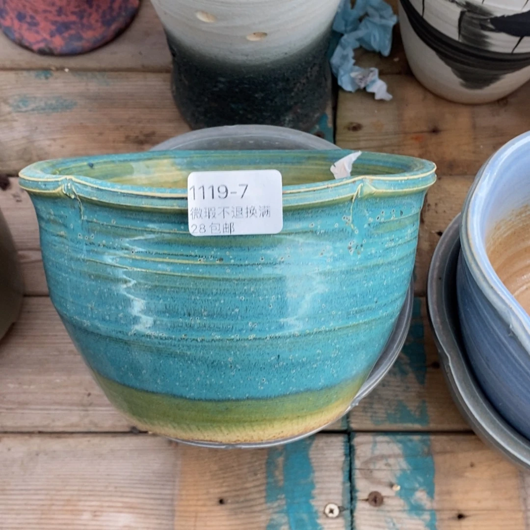 7号花盆内14.5高10.5