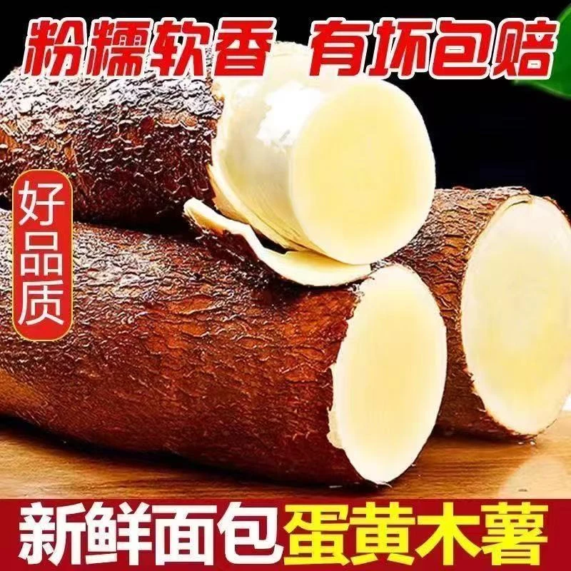 2025新鲜现挖广西黄心木薯板栗黄肉木薯商用螺蛳粉糖水店同款