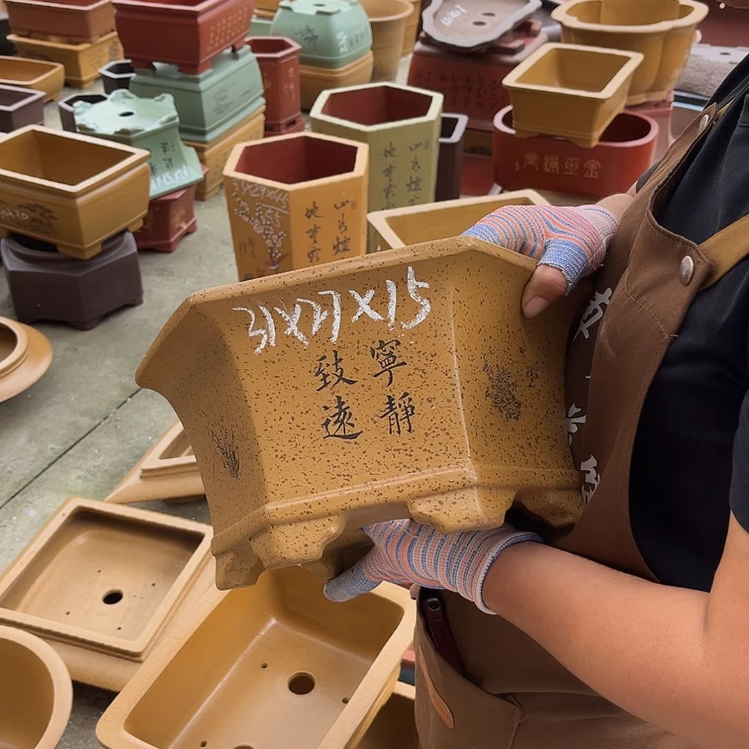 紫砂花盆盆景艺术