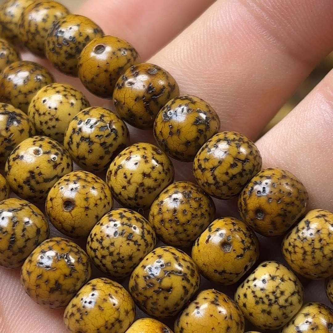 吊坠星月菩提喜欢看书啊