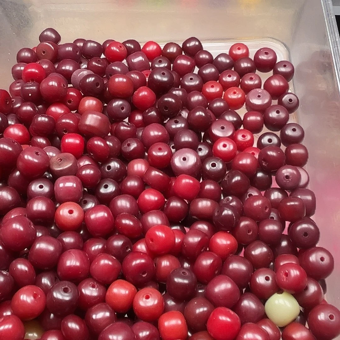 菩提根/象牙果手串微瑕红色混1000颗